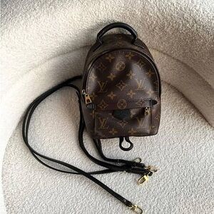 Louis Vuitton Palm Spring Mini Backpack